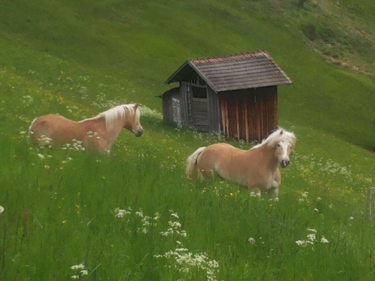 Apartment Apart.pitztal