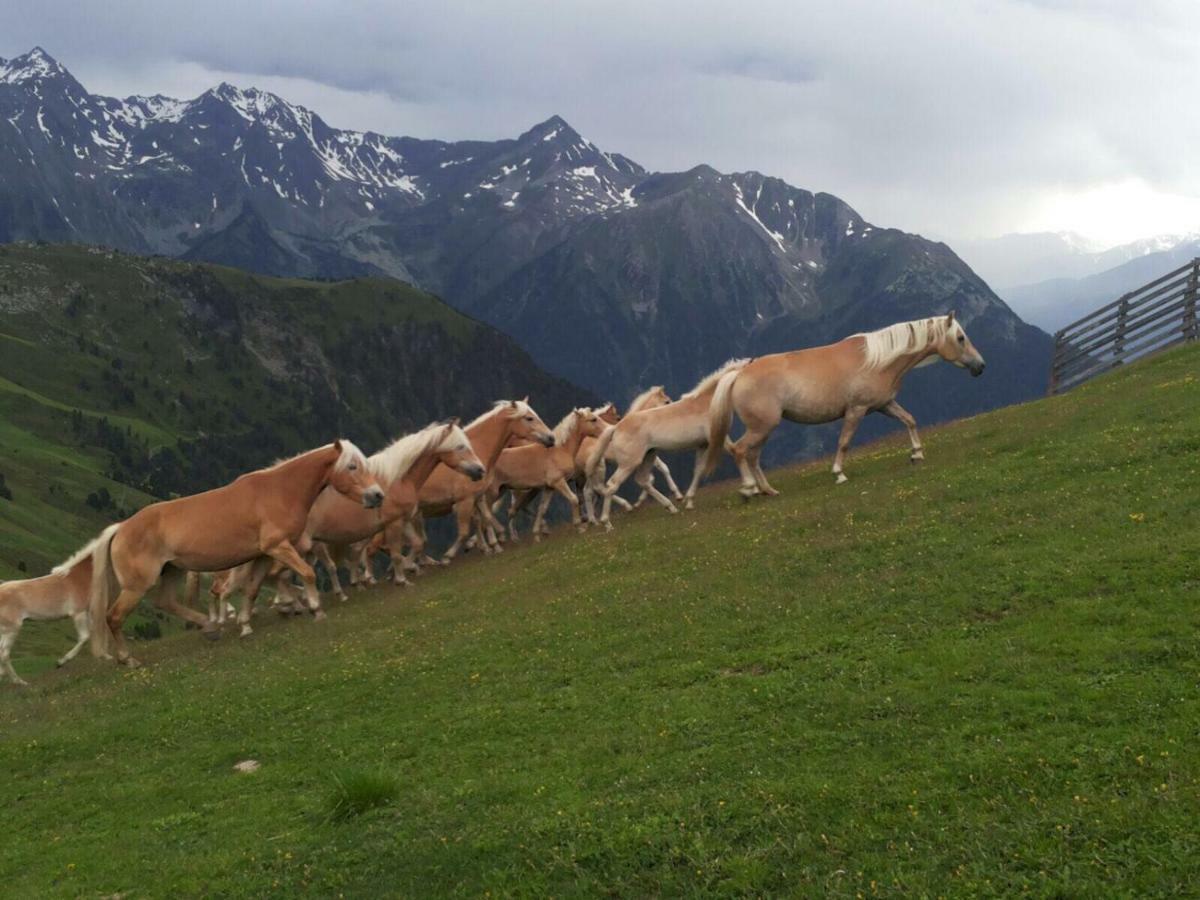 Apartment Apart.pitztal Arzl im Pitztal