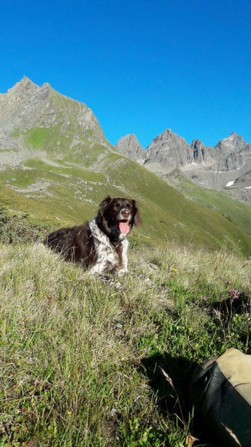 Apart.pitztal
